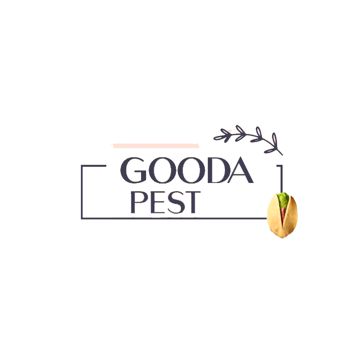 فروشگاه آنلاین گوداپست